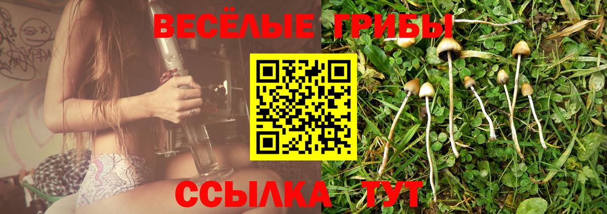 Галлюциногенные грибы Magic Shrooms Клин